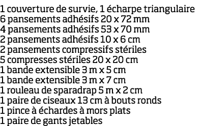 1 couverture de survie, 1  charpe triangulaire 6 pansements adh sifs 20 x 72 mm 4 pansements adh sifs 53 x 70 mm 2 pa   