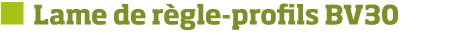   Lame de r gle-profils BV30