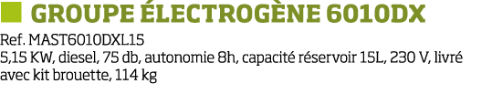   Groupe  lectrog ne 6010DX Ref  MAST6010DXL15 5,15 KW, diesel, 75 db, autonomie 8h, capacit  r servoir 15L, 230 V, l   