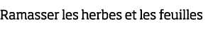 Ramasser les herbes et les feuilles